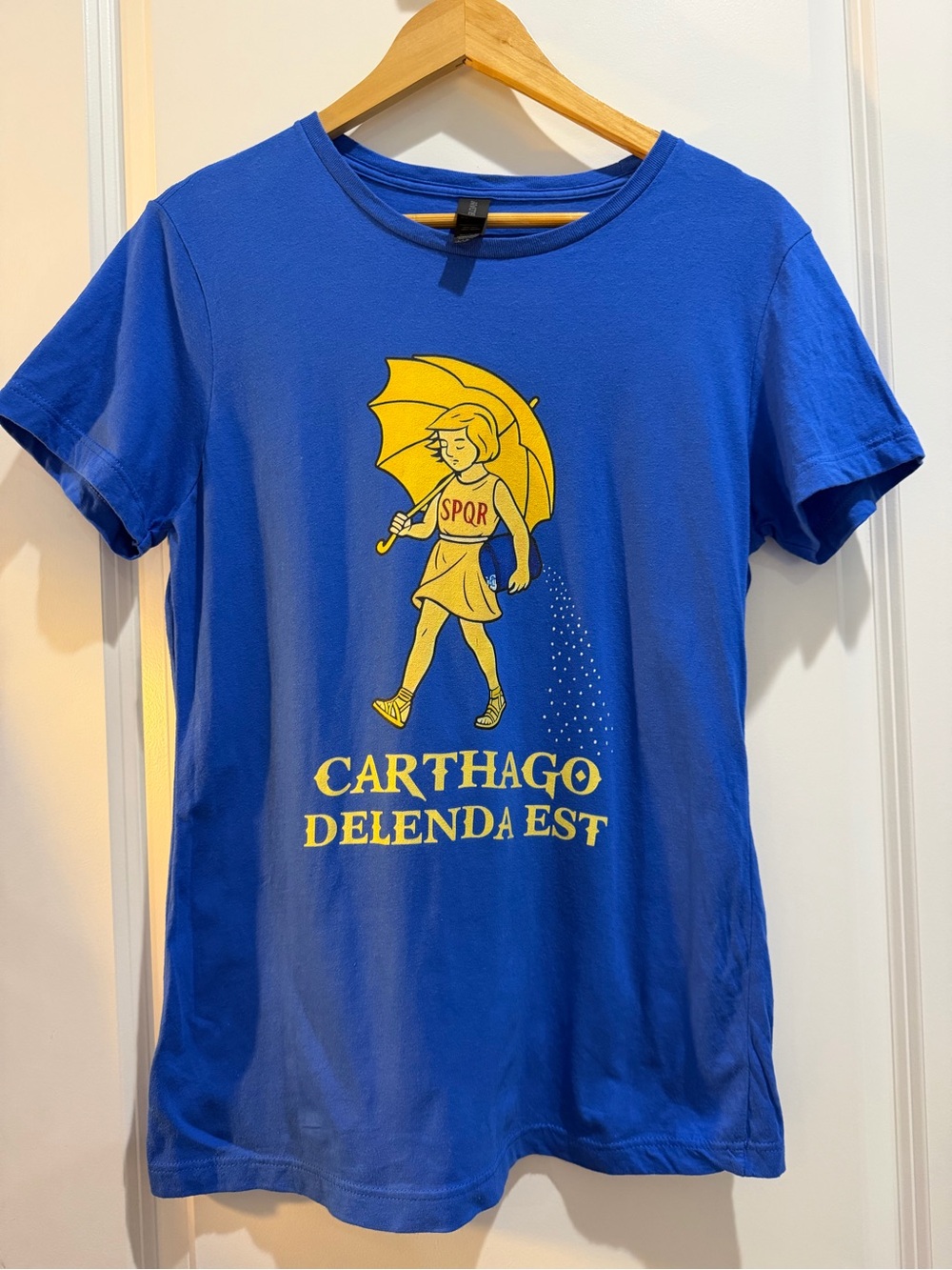 Carthago Delenda‎ Est Latin Graphic T-Shirt Blue Gildan Softstyle Women’s Large